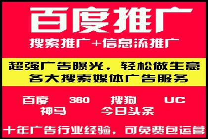 某知名品牌SEM运营策略及效果评估